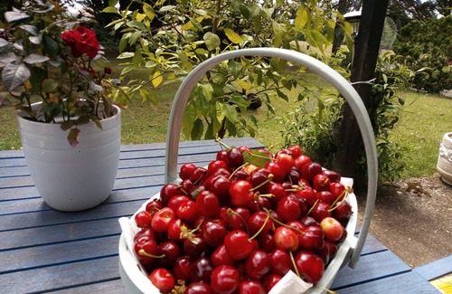 Loubezs-Bernac Apartment | ❤ Séjour Romantique ❤ Salt Water Swimming Pool, Hydrotherapy Hottub