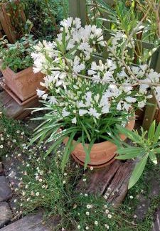 Bolbec Bed & Breakfast | sérénite normande