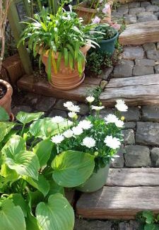 Bolbec Bed & Breakfast | sérénite normande