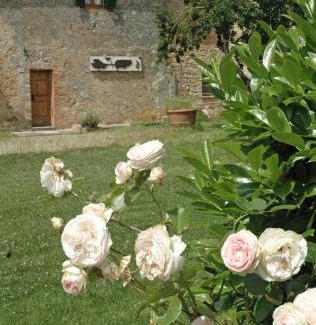 Abbadia a Isola Apartment | S.M. L'ARCO