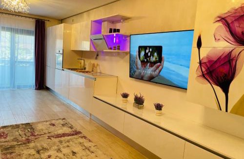 Timisoara Apartment | S & S Apartment 2 bedroom with Balcony & Terrace Dumbravita free Parking at location 2 spaces