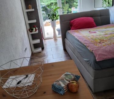 Saarlouis Apartment | Saarlouis