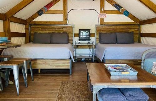 Seguin House | Safari Cabin B