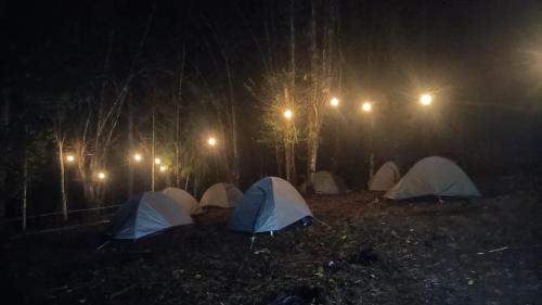 Itanagar Other | SafarnamaStays Ziro Music Festival Camping