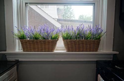 St. Louis Apartment | Safe Neighborhood STL-Rainbow Apt! Next to Forrest Park, with AC—Private Parking