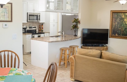 Safety Harbor House | Safety Harbor - Tropical Oasis