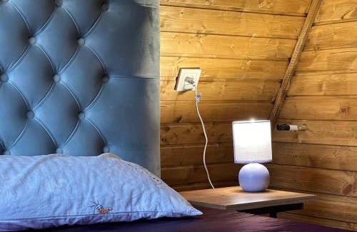 Vedzebi Ski Chalet | Sagarejo Wood House