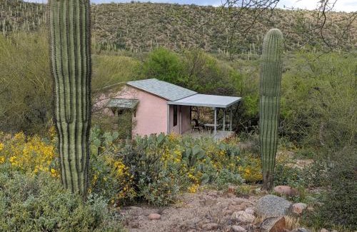 Mesa Cabin | Saguaro Lake Ranch