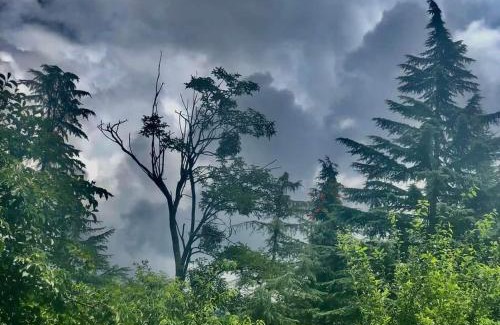 Chikkamagaluru Hotel | Sahyadri Lodge and Restaurant