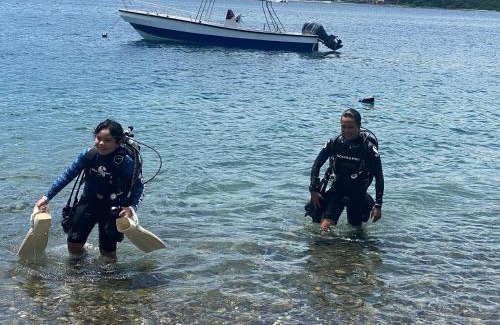 Mabini Resort | Saltitude Dive & Beach Resort