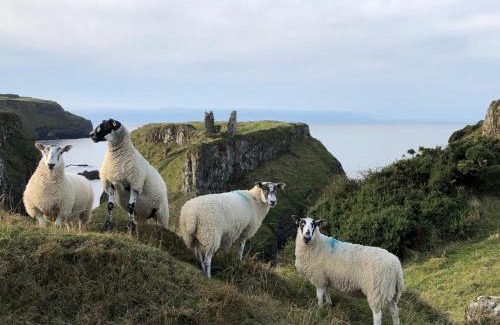 Dunseverick House | Saltwater Cottage