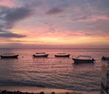 Bocachica House | samadhi