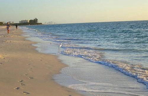 San Carlos Park House | San Carlos Paradise!