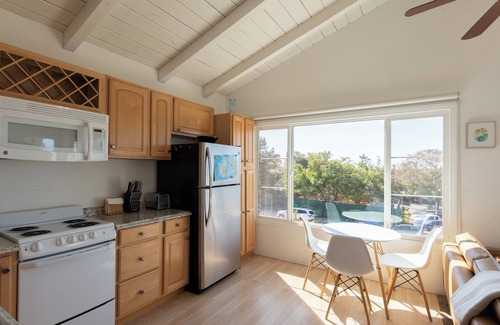 North Pacific Beach Apartment | San Diego Gem in North PB Close to the Beach and Walkable to Restaurants