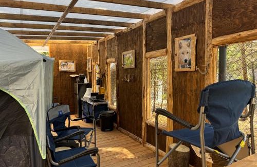 Sainte-Apolline-de-Patton Other | Sanctuaire de loups LUPO - Wolf Sanctuary LUPO