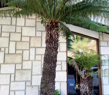 Sever do Vouga Bed & Breakfast | Santiago Family House