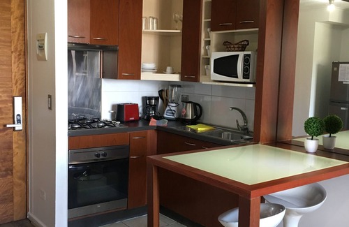 Bellas Artes Condo | Santiago Town Suites