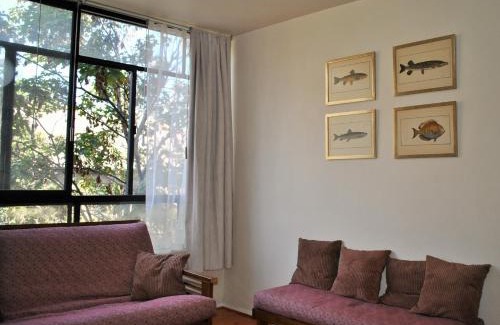 Bellas Artes Apartment | Santo Domingo frente Bellas Artes