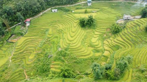 Sa Pa House | Sapa May Homestay