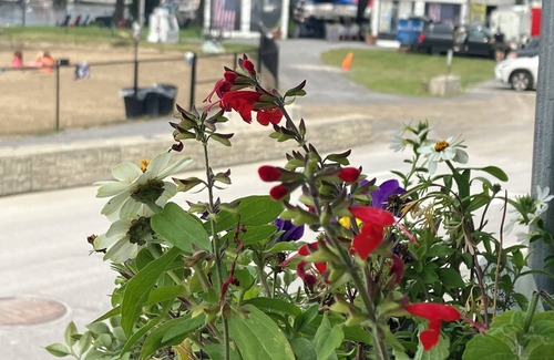 Malta House | Saratoga Cottage lake view