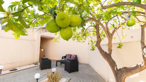 Oristano Apartment | Sardinianworld - Xenia Boutique