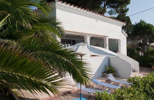 Alcanar House | Sargantana Blava