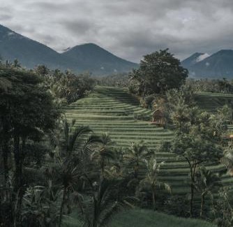 Penebel House | Saridevi Ecolodge