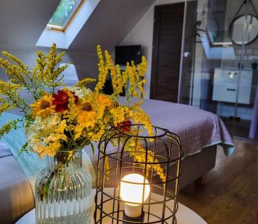 Podmacharce Bed & Breakfast | Saskia Dwór & Spa Willa z basenem
