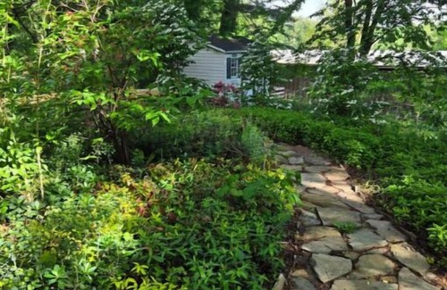 Asheville House | Sauna and Healing Sanctuary