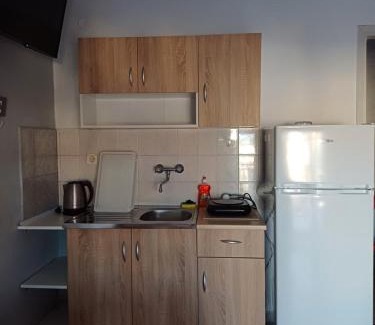 Olymbiaki Akti Apartment | Savvas