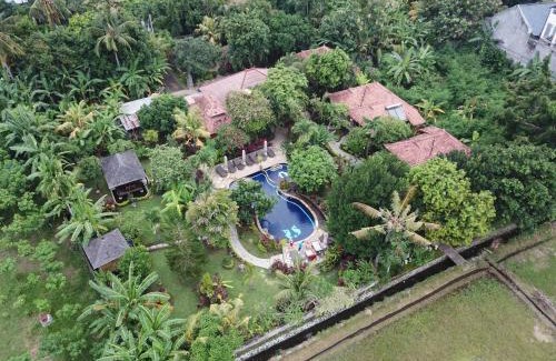 Lovina Resort | Sawah Lovina