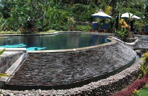 Lovina Resort | Sawah Lovina