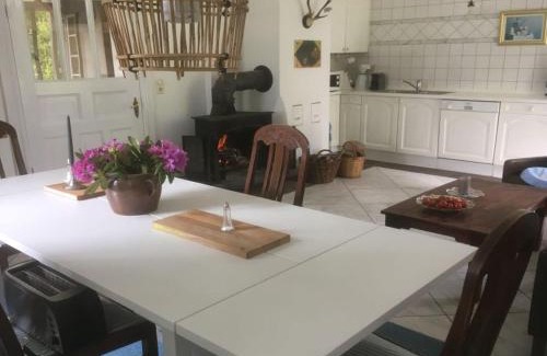 Trendelburg Apartment | Schöne Wohnung in Hessen mit Ruhebereich