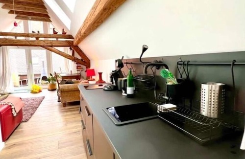 Mainz-Bingen Apartment | Schönster Blick auf Oppenheim