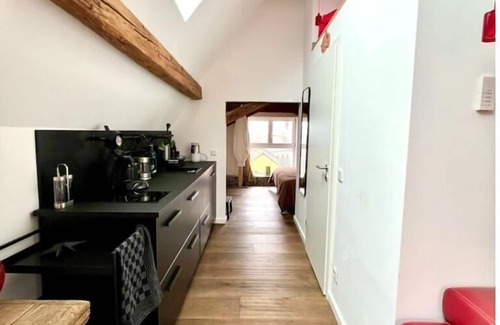 Mainz-Bingen Apartment | Schönster Blick auf Oppenheim