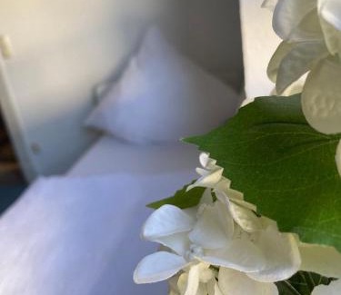 Mendig Apartment | Schicke Monteurunterkunft in Mendig mit drei Wohneinheiten