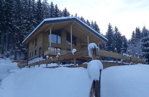 Haus im Ennstal Apartment | Schladminger Tauern Apartment