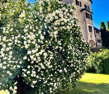 Huettenberg House | Schloss Süßenstein