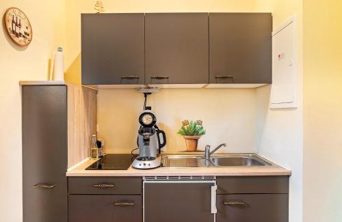 Sasbachwalden Apartment | Schusterjunge Aparthotel Haus