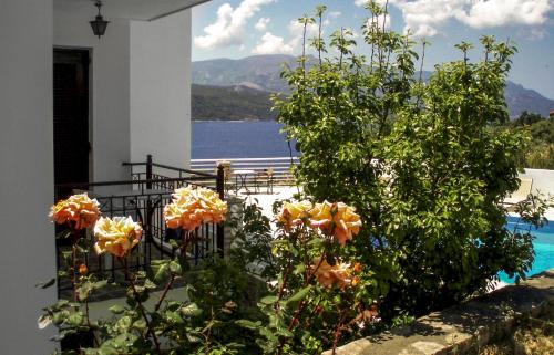 Samos Hotel | Scorpios Hotel & Suites