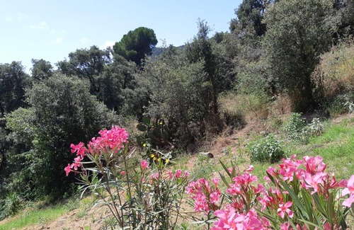 Rio d'Oro House | Sea view holiday house Calonge