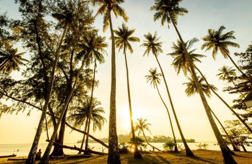 Ko Kood Resort | Seacret KohKood เกาะกูด