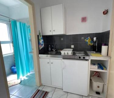 Paralia Agias Fotinis Apartment | Seagulls