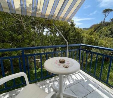 Paralia Agias Fotinis Apartment | Seagulls