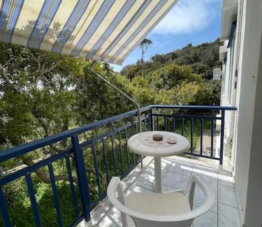 Paralia Agias Fotinis Apartment | Seagulls