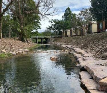 Kaeng Khoi Other | Season camp cha-om