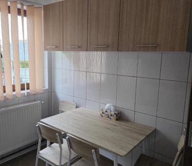 Barlad Apartment | sebas