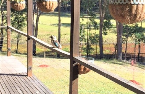 Wollombi House | Secluded escape in Historic Wollombi