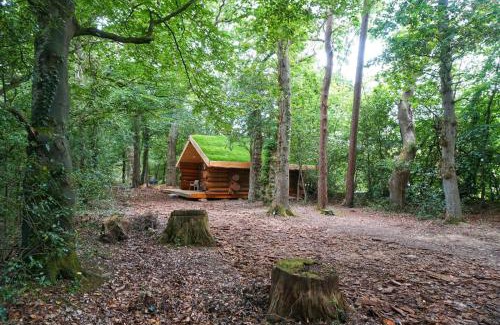 Petrockstowe House | Secluded Hand Crafted Log Cabin
