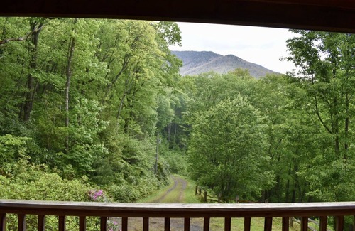 Burnsville Cabin | Secluded Mountain 4 Bedroom Cabin